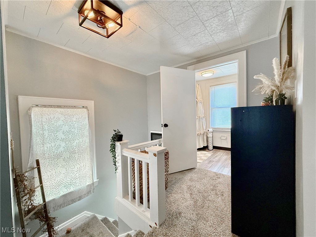 City Park - Residential