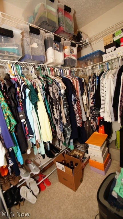 Pebble Creek Preserve - Residential