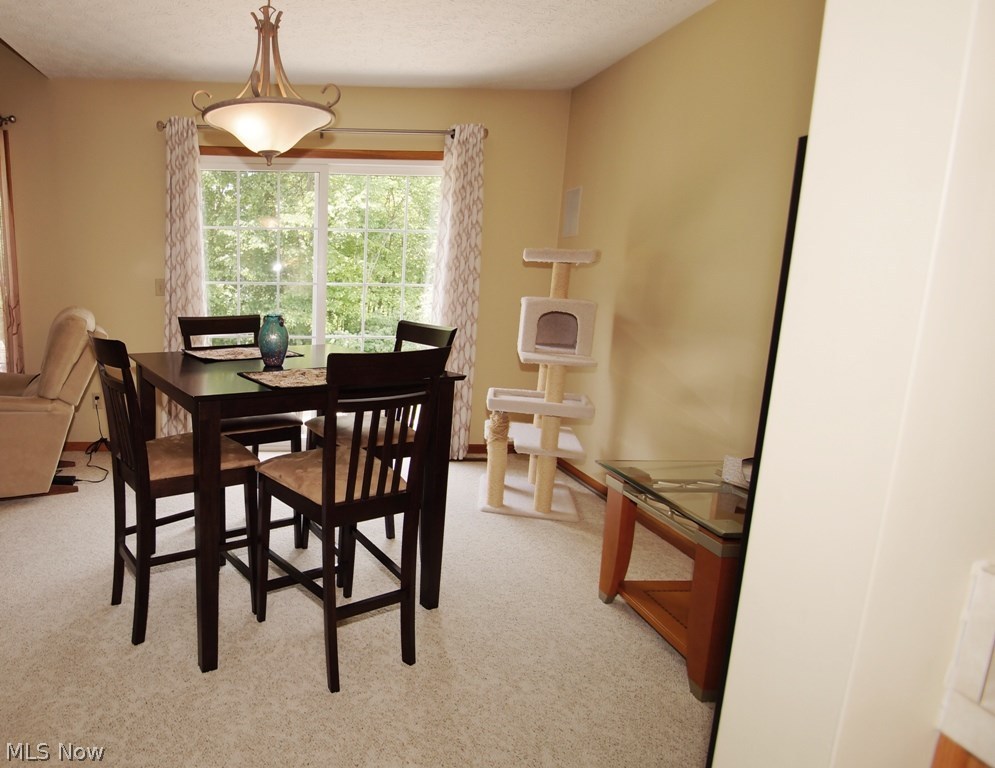 Pebble Creek Preserve - Residential