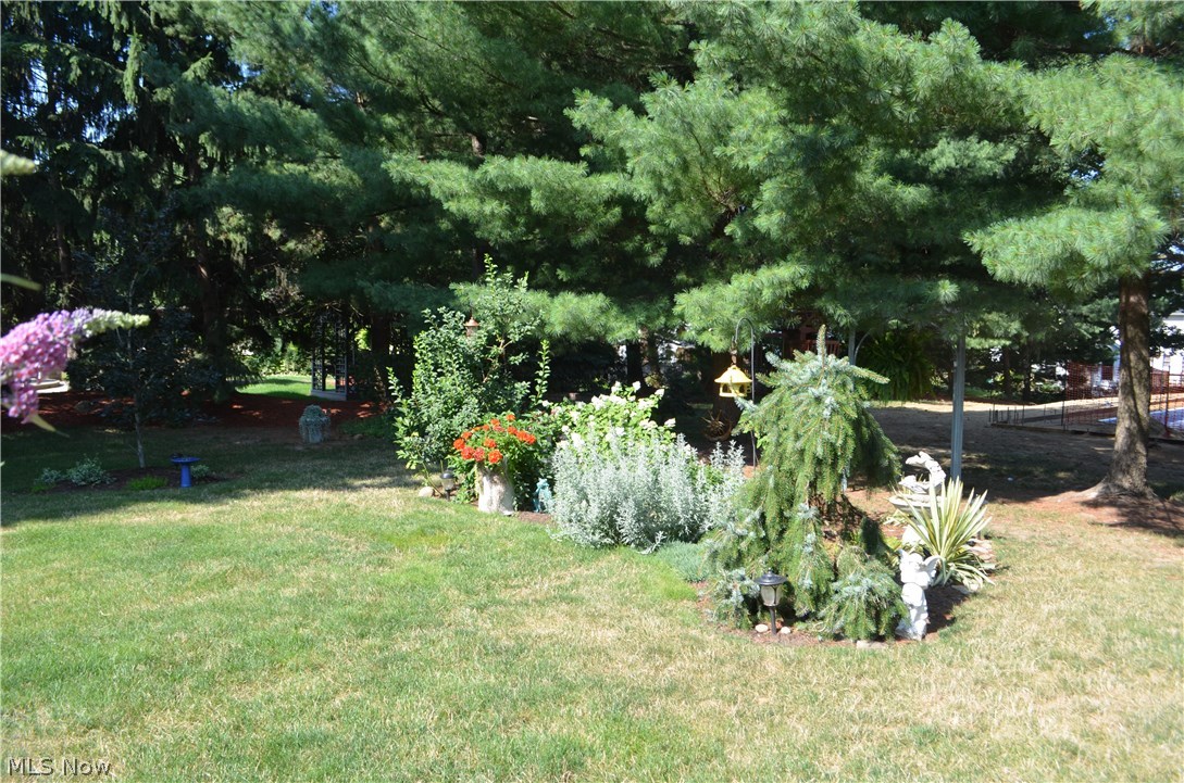 Steeple Chase - Residential