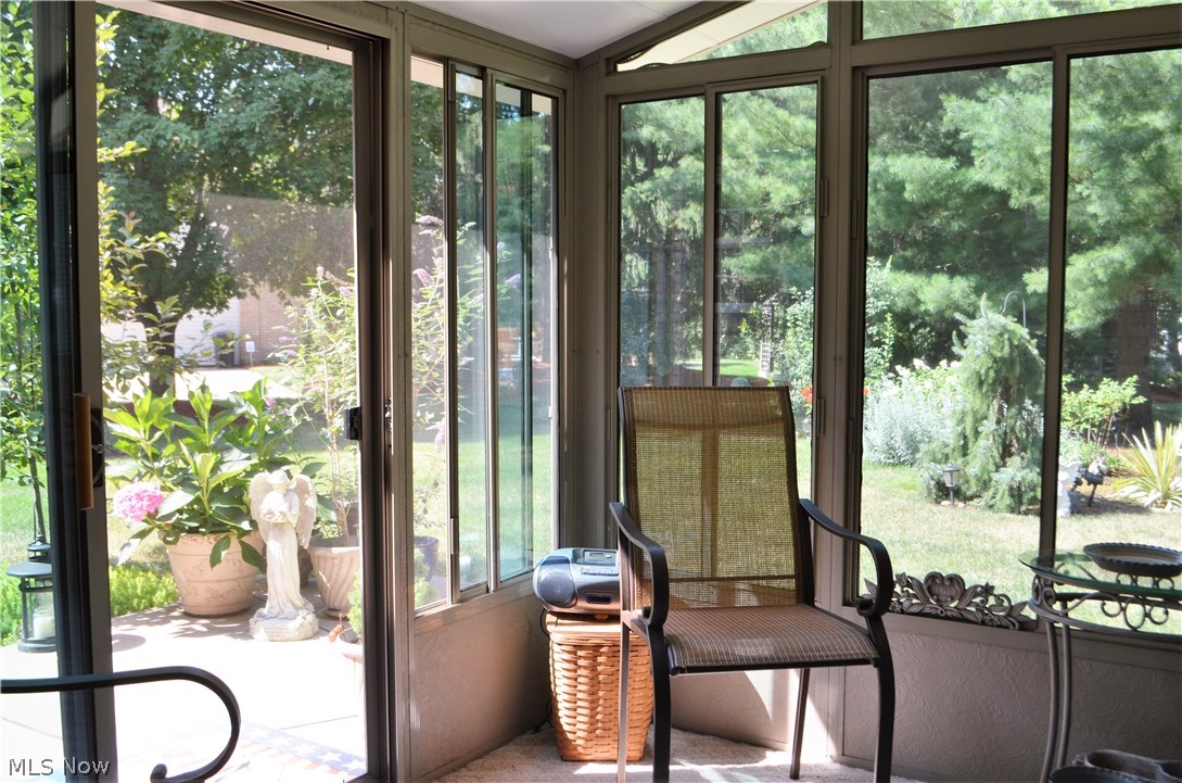 Steeple Chase - Residential