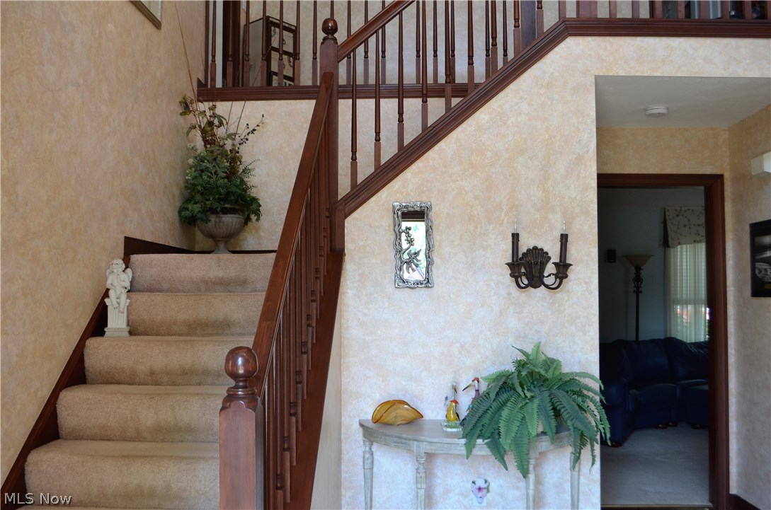 Steeple Chase - Residential