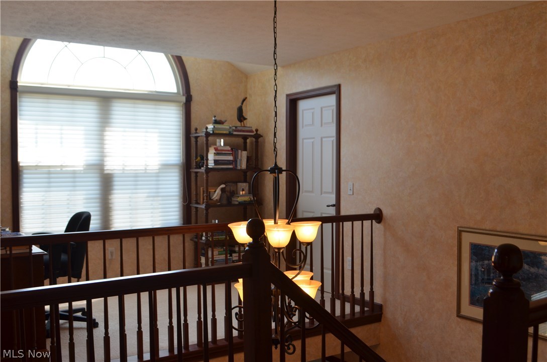 Steeple Chase - Residential