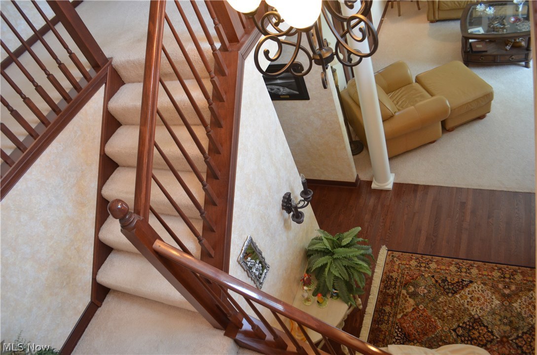 Steeple Chase - Residential