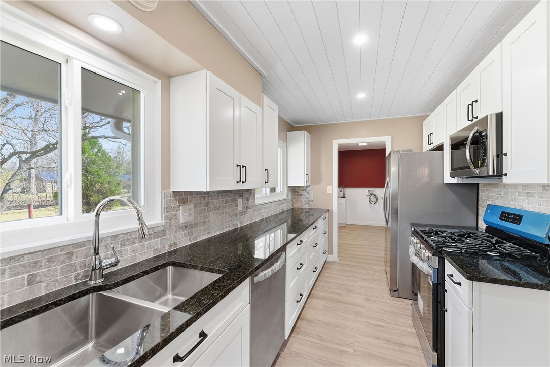 Mentor Meadows Sub - Residential