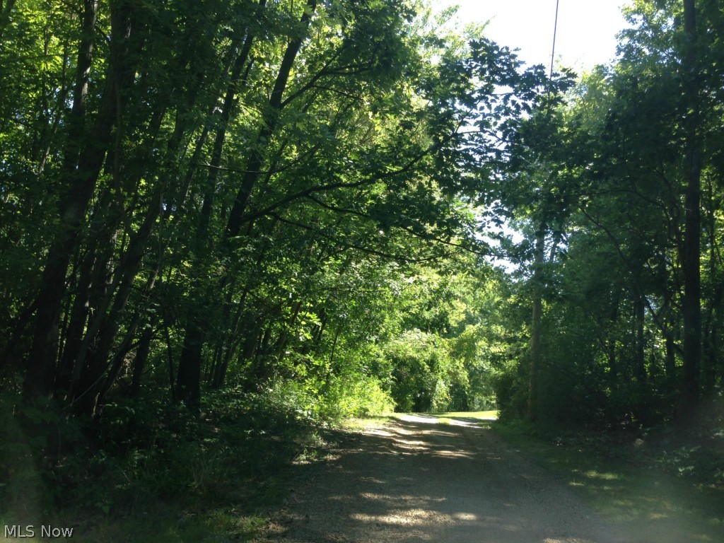 Springfield Township Sec 17 - Residential