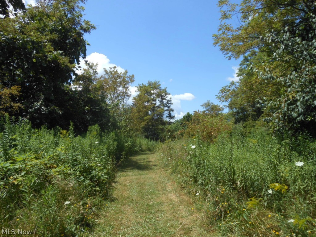 Springfield Township Sec 17 - Residential