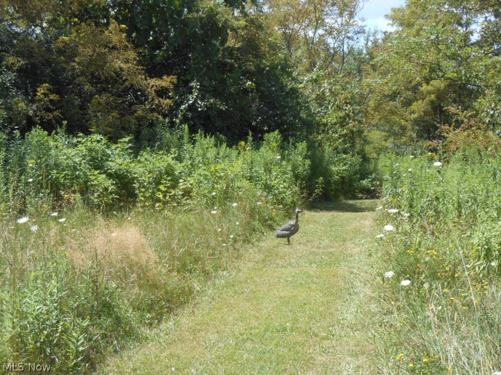 Springfield Township Sec 17 - Residential