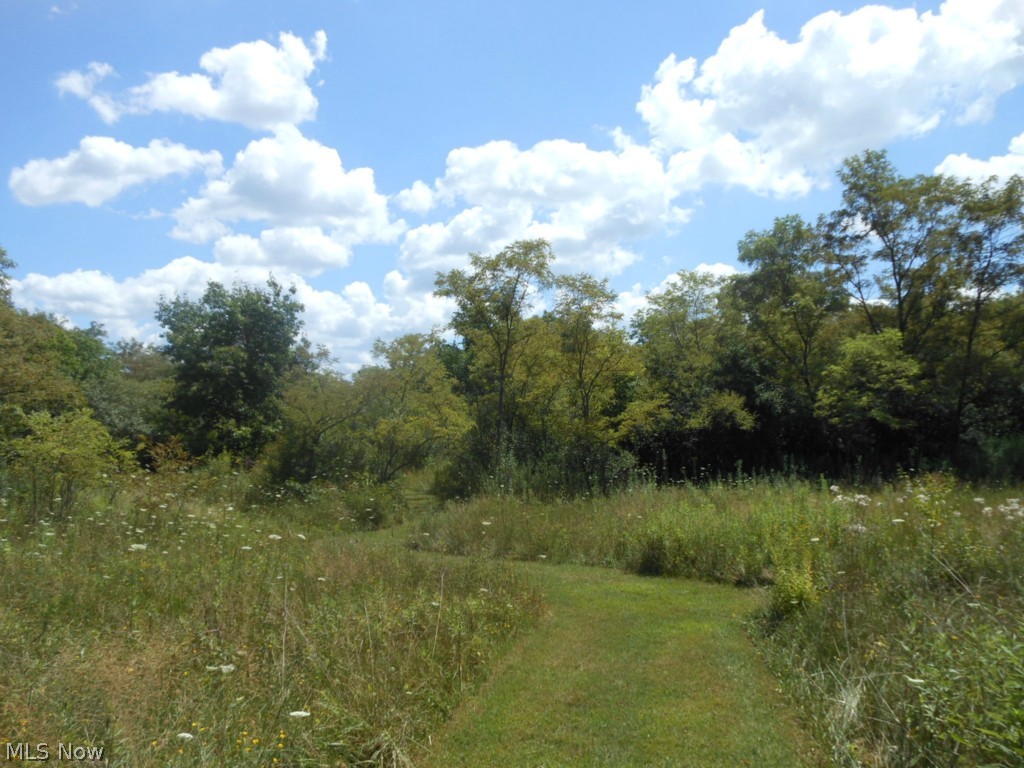 Springfield Township Sec 17 - Residential