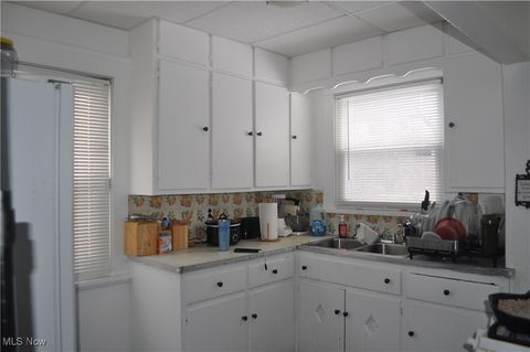 Tiny photo for 11907 Mount Overlook Avenue, Cleveland, OH 44120 (MLS # 5178452)