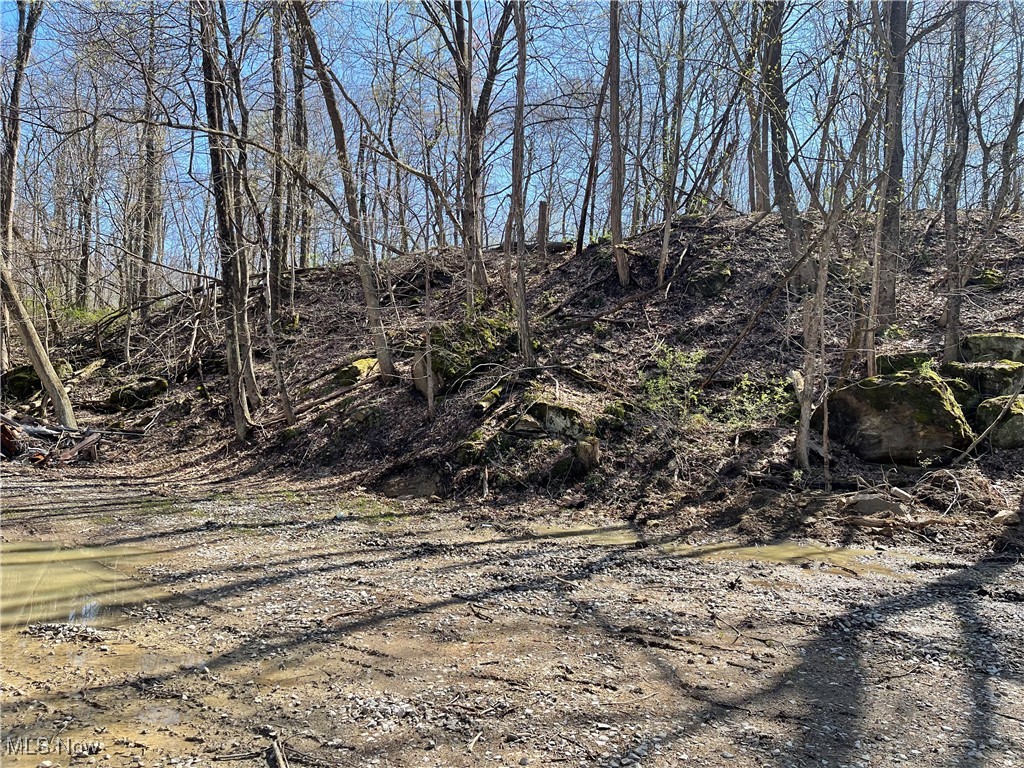 21500 Putney Ridge Road, Salesville, Ohio image 7