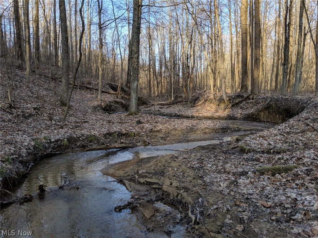 208.775 Acres * Mostly Wooded * Timber Potential * Excellent Hunting * Ponds * 4,000+ Road Frontage * Coshocton County * Linton Township