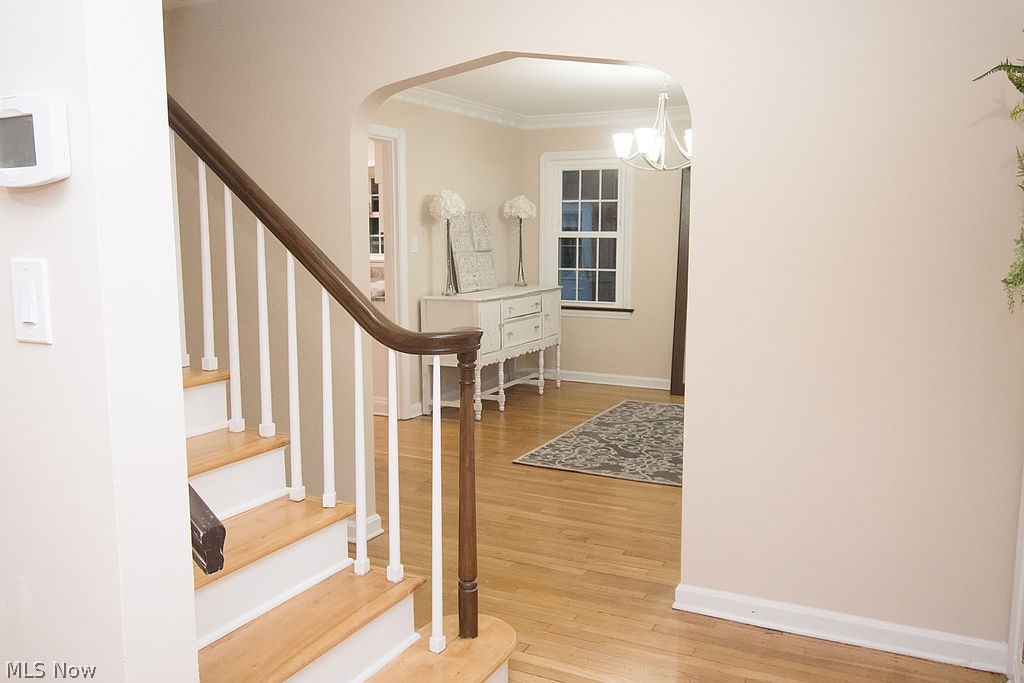 Castle Park - Residential