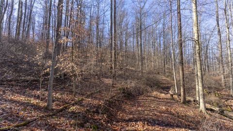 Tiny photo for 0 Clem Garvin Road, Caldwell, OH 43724 (MLS # 5195956)