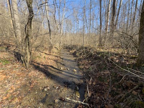 Tiny photo for 0 Clem Garvin Road, Caldwell, OH 43724 (MLS # 5195956)