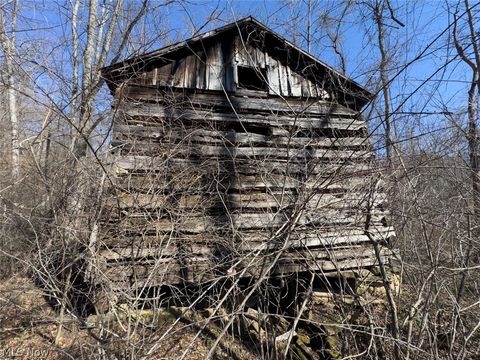 Tiny photo for 0 Clem Garvin Road, Caldwell, OH 43724 (MLS # 5195956)