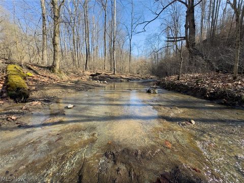 Tiny photo for 0 Clem Garvin Road, Caldwell, OH 43724 (MLS # 5195956)