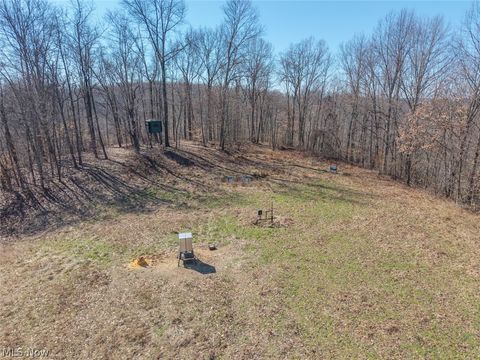 Tiny photo for 0 Clem Garvin Road, Caldwell, OH 43724 (MLS # 5195956)