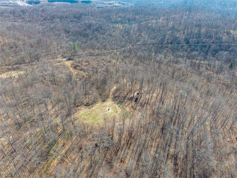 Tiny photo for 0 Clem Garvin Road, Caldwell, OH 43724 (MLS # 5195956)