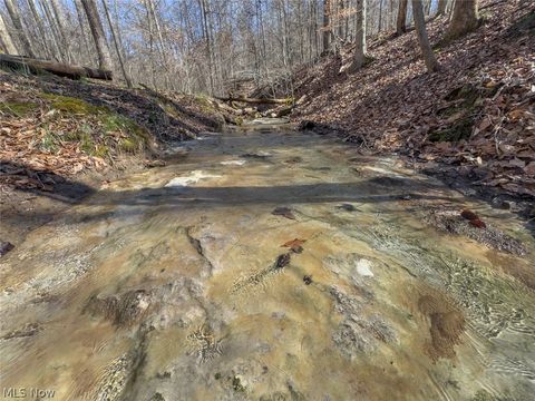 Tiny photo for 0 Clem Garvin Road, Caldwell, OH 43724 (MLS # 5195956)