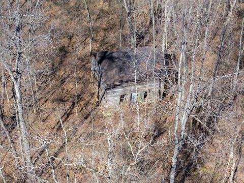 Tiny photo for 0 Clem Garvin Road, Caldwell, OH 43724 (MLS # 5195956)