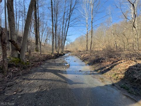 Tiny photo for 0 Clem Garvin Road, Caldwell, OH 43724 (MLS # 5195956)