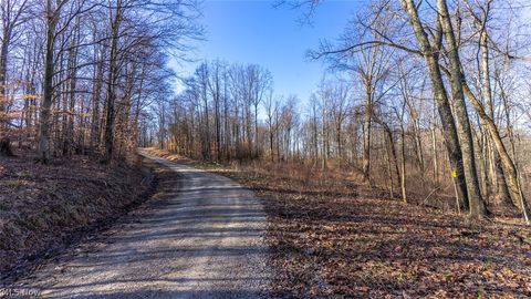 Tiny photo for 0 Clem Garvin Road, Caldwell, OH 43724 (MLS # 5195956)