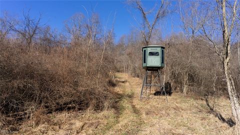 Tiny photo for 0 Clem Garvin Road, Caldwell, OH 43724 (MLS # 5195956)