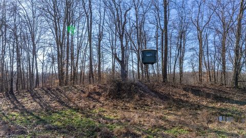 Tiny photo for 0 Clem Garvin Road, Caldwell, OH 43724 (MLS # 5195956)