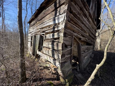 Tiny photo for 0 Clem Garvin Road, Caldwell, OH 43724 (MLS # 5195956)