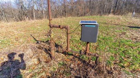 Tiny photo for 0 Clem Garvin Road, Caldwell, OH 43724 (MLS # 5195956)