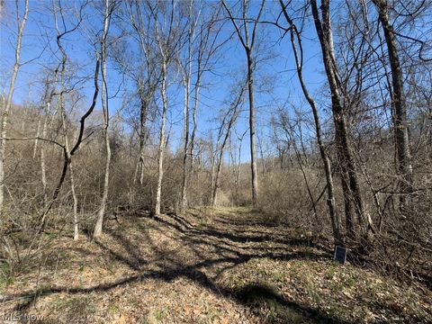 Tiny photo for 0 Clem Garvin Road, Caldwell, OH 43724 (MLS # 5195956)