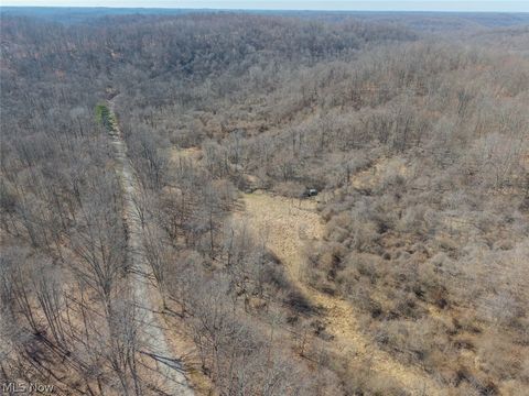 Tiny photo for 0 Clem Garvin Road, Caldwell, OH 43724 (MLS # 5195956)