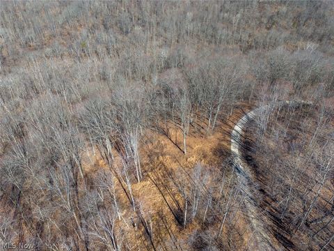 Tiny photo for 0 Clem Garvin Road, Caldwell, OH 43724 (MLS # 5195956)