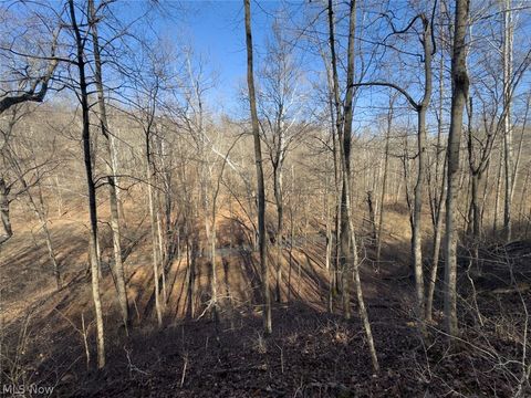 Tiny photo for 0 Clem Garvin Road, Caldwell, OH 43724 (MLS # 5195956)