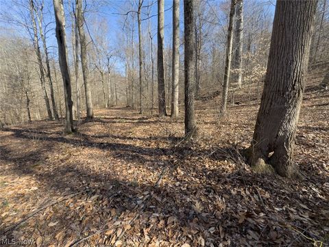 Tiny photo for 0 Clem Garvin Road, Caldwell, OH 43724 (MLS # 5195956)