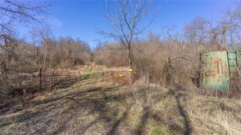 Tiny photo for 0 Clem Garvin Road, Caldwell, OH 43724 (MLS # 5195956)