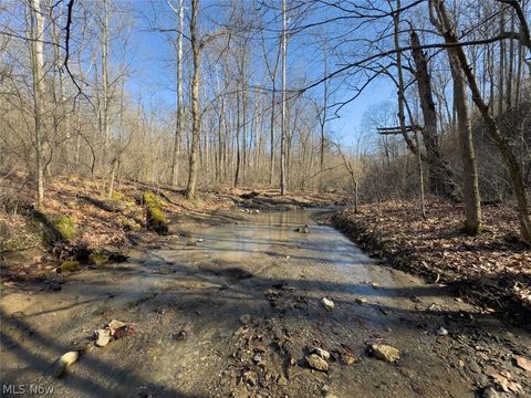 Tiny photo for 0 Clem Garvin Road, Caldwell, OH 43724 (MLS # 5195956)