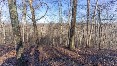 Tiny photo for 0 Clem Garvin Road, Caldwell, OH 43724 (MLS # 5195956)