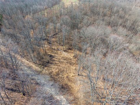 Tiny photo for 0 Clem Garvin Road, Caldwell, OH 43724 (MLS # 5195956)