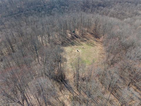 Tiny photo for 0 Clem Garvin Road, Caldwell, OH 43724 (MLS # 5195956)