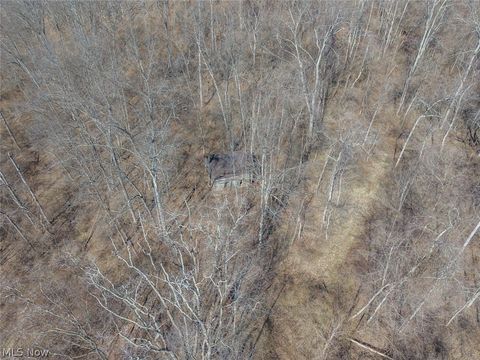 Tiny photo for 0 Clem Garvin Road, Caldwell, OH 43724 (MLS # 5195956)