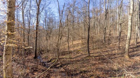 Tiny photo for 0 Clem Garvin Road, Caldwell, OH 43724 (MLS # 5195956)