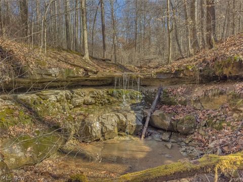 Tiny photo for 0 Clem Garvin Road, Caldwell, OH 43724 (MLS # 5195956)