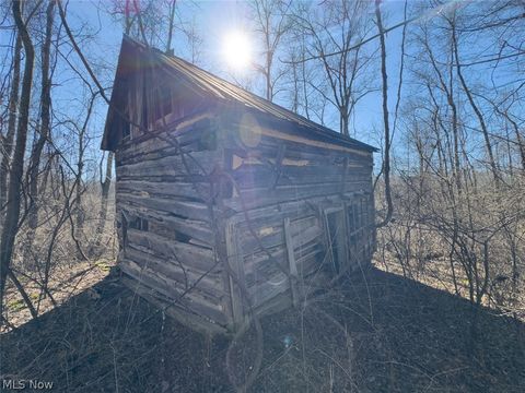 Tiny photo for 0 Clem Garvin Road, Caldwell, OH 43724 (MLS # 5195956)