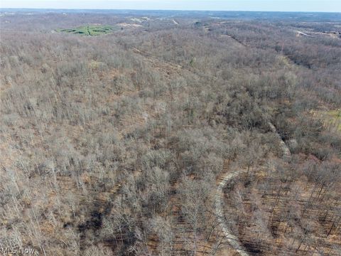 Tiny photo for 0 Clem Garvin Road, Caldwell, OH 43724 (MLS # 5195956)