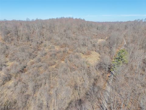 Tiny photo for 0 Clem Garvin Road, Caldwell, OH 43724 (MLS # 5195956)