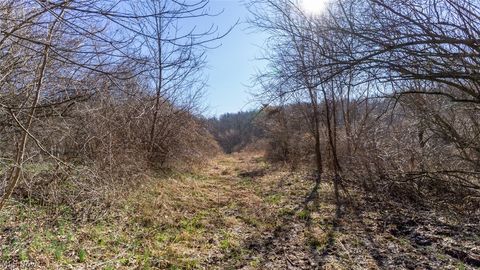 Tiny photo for 0 Clem Garvin Road, Caldwell, OH 43724 (MLS # 5195956)