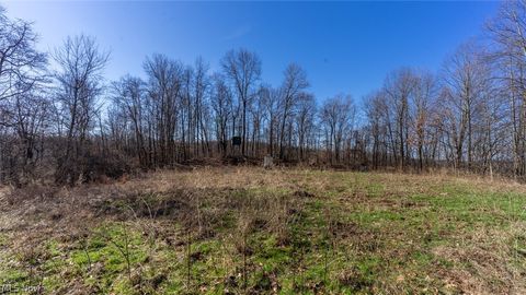 Tiny photo for 0 Clem Garvin Road, Caldwell, OH 43724 (MLS # 5195956)