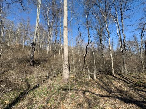 Tiny photo for 0 Clem Garvin Road, Caldwell, OH 43724 (MLS # 5195956)
